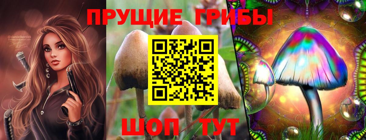 Галлюциногенные грибы Cubensis Старая Купавна