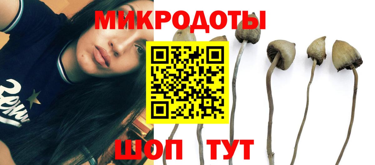 Псилоцибиновые грибы Magic Shrooms  Вход с VPN  даркнет сайт  Старая Купавна 